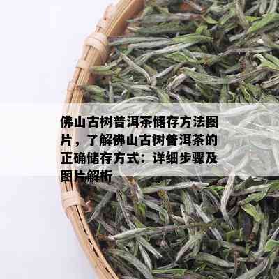 佛山古树普洱茶储存方法图片，了解佛山古树普洱茶的正确储存方式：详细步骤及图片解析