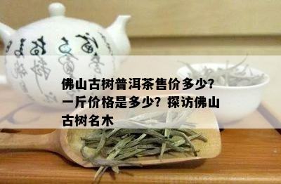 佛山古树普洱茶售价多少？一斤价格是多少？探访佛山古树名木