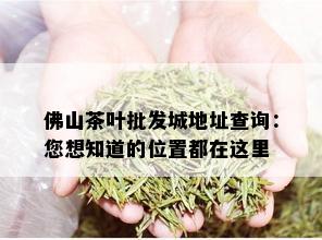 佛山茶叶批发城地址查询：您想知道的位置都在这里