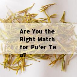 Are You the Right Match for Pu'er Tea?