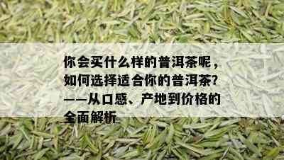 你会买什么样的普洱茶呢，如何选择适合你的普洱茶？——从口感、产地到价格的全面解析