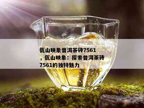 佤山映象普洱茶砖7561，佤山映象：探索普洱茶砖7561的独特魅力