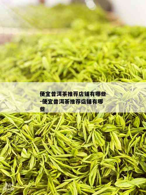 便宜普洱茶推荐店铺有哪些-便宜普洱茶推荐店铺有哪些