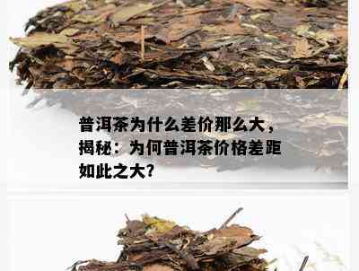 普洱茶为什么差价那么大，揭秘：为何普洱茶价格差距如此之大？