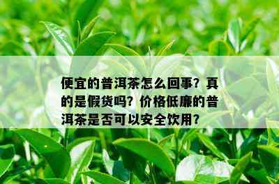 便宜的普洱茶怎么回事？真的是假货吗？价格低廉的普洱茶是否可以安全饮用？