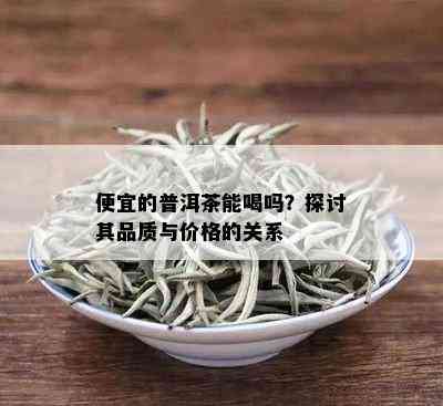 便宜的普洱茶能喝吗？探讨其品质与价格的关系