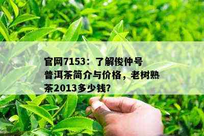 官网7153：了解俊仲号普洱茶简介与价格，老树熟茶2013多少钱？