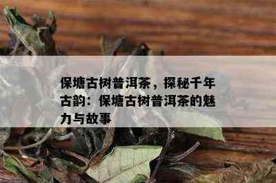 保塘古树普洱茶，探秘千年古韵：保塘古树普洱茶的魅力与故事