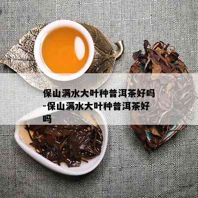 保山满水大叶种普洱茶好吗-保山满水大叶种普洱茶好吗