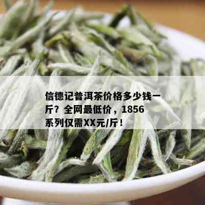 信德记普洱茶价格多少钱一斤？全网更低价，1856系列仅需XX元/斤！