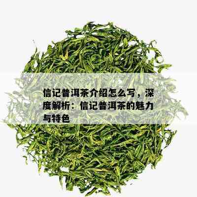 信记普洱茶介绍怎么写，深度解析：信记普洱茶的魅力与特色