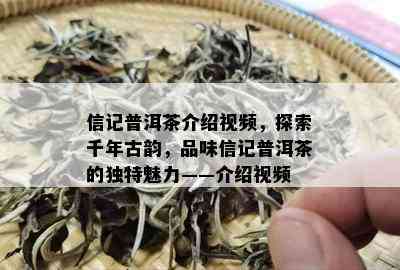 信记普洱茶介绍视频，探索千年古韵，品味信记普洱茶的独特魅力——介绍视频