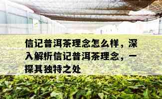 信记普洱茶理念怎么样，深入解析信记普洱茶理念，一探其独特之处