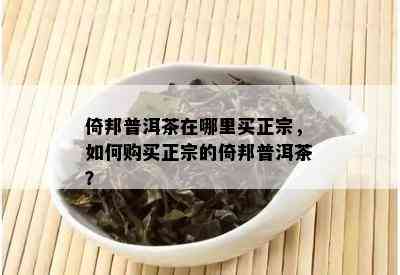 倚邦普洱茶在哪里买正宗，如何购买正宗的倚邦普洱茶？