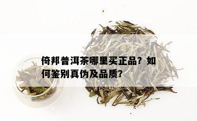 倚邦普洱茶哪里买正品？如何鉴别真伪及品质？