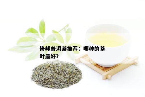 倚邦普洱茶推荐：哪种的茶叶更好？