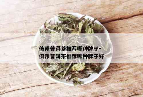 倚邦普洱茶推荐哪种牌子-倚邦普洱茶推荐哪种牌子好