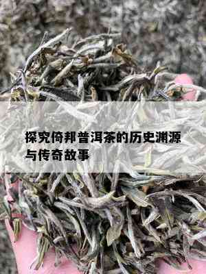 探究倚邦普洱茶的历史渊源与传奇故事