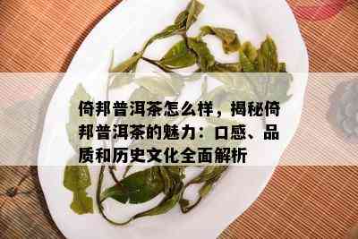 倚邦普洱茶怎么样，揭秘倚邦普洱茶的魅力：口感、品质和历史文化全面解析