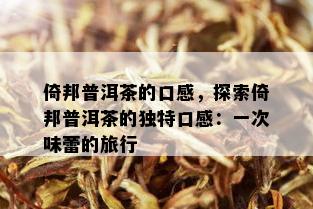 倚邦普洱茶的口感，探索倚邦普洱茶的独特口感：一次味蕾的旅行