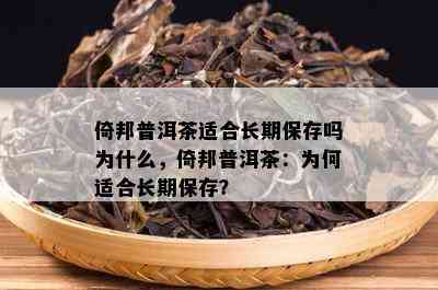 倚邦普洱茶适合长期保存吗为什么，倚邦普洱茶：为何适合长期保存？