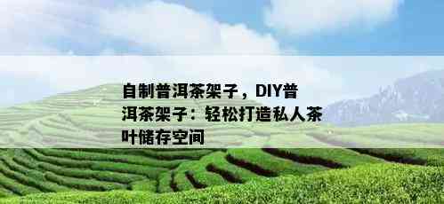 自制普洱茶架子，DIY普洱茶架子：轻松打造私人茶叶储存空间