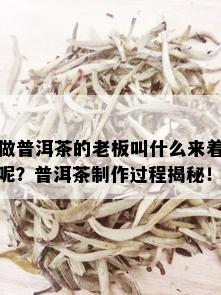 做普洱茶的老板叫什么来着呢？普洱茶制作过程揭秘！