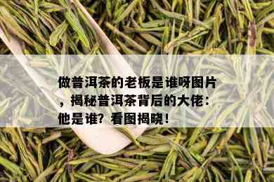 做普洱茶的老板是谁呀图片，揭秘普洱茶背后的大佬：他是谁？看图揭晓！