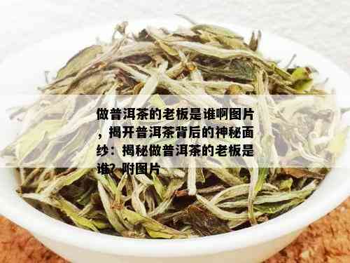 做普洱茶的老板是谁啊图片，揭开普洱茶背后的神秘面纱：揭秘做普洱茶的老板是谁？附图片