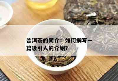 普洱茶的简介：如何撰写一篇吸引人的介绍？