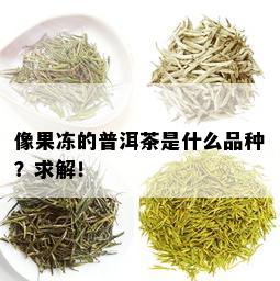 像果冻的普洱茶是什么品种？求解！