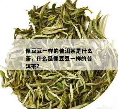 像豆豆一样的普洱茶是什么茶，什么是像豆豆一样的普洱茶？