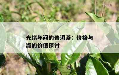 光绪年间的普洱茶：价格与罐的价值探讨