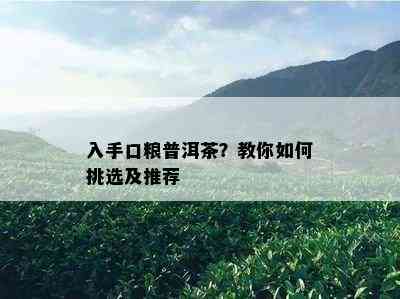 入手口粮普洱茶？教你如何挑选及推荐