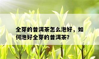 全芽的普洱茶怎么泡好，如何泡好全芽的普洱茶？