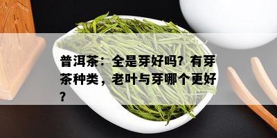 普洱茶：全是芽好吗？有芽茶种类，老叶与芽哪个更好？