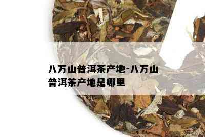 八万山普洱茶产地-八万山普洱茶产地是哪里