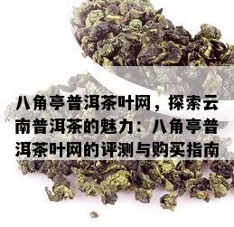 八角亭普洱茶叶网，探索云南普洱茶的魅力：八角亭普洱茶叶网的评测与购买指南