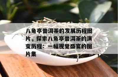 八角亭普洱茶的发展历程图片，探索八角亭普洱茶的演变历程：一幅视觉盛宴的图片集