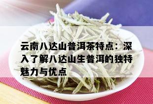 云南八达山普洱茶特点：深入了解八达山生普洱的独特魅力与优点