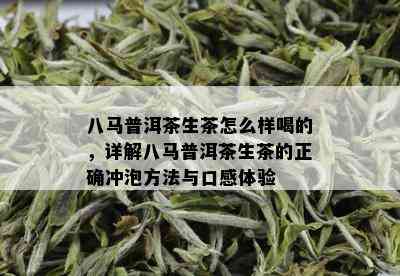 八马普洱茶生茶怎么样喝的，详解八马普洱茶生茶的正确冲泡方法与口感体验