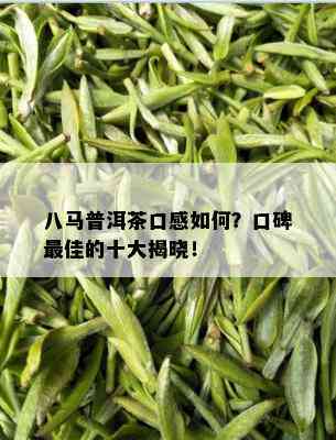 八马普洱茶口感如何？口碑更佳的十大揭晓！