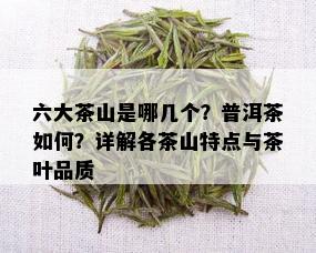 六大茶山是哪几个？普洱茶如何？详解各茶山特点与茶叶品质