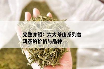 完整介绍：六大茶山系列普洱茶的价格与品种