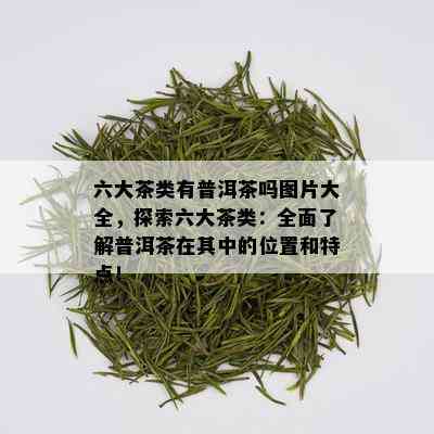 六大茶类有普洱茶吗图片大全，探索六大茶类：全面了解普洱茶在其中的位置和特点！