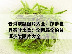 普洱茶架图片大全，探索世界茶叶之美：全网最全的普洱茶架图片大全