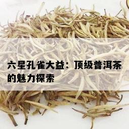 六星孔雀大益：顶级普洱茶的魅力探索