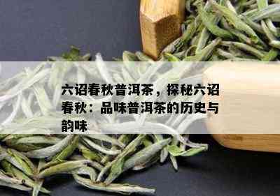 六诏春秋普洱茶，探秘六诏春秋：品味普洱茶的历史与韵味