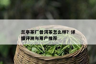 兰亭茶厂普洱茶怎么样？详细评测与用户推荐