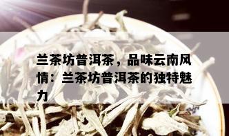 兰茶坊普洱茶，品味云南风情：兰茶坊普洱茶的独特魅力